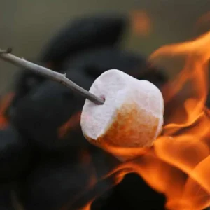 MAXMALLOWS DOCILE ASSAR 220GR